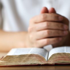 Woman Praying Over Bible
